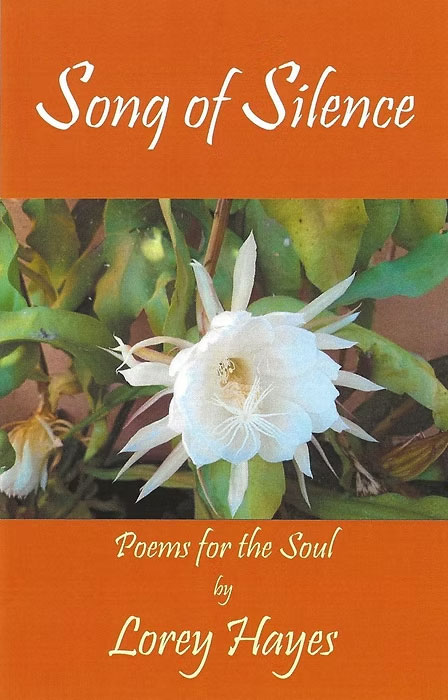 Song of Silence by Lorey Hayes book cover image